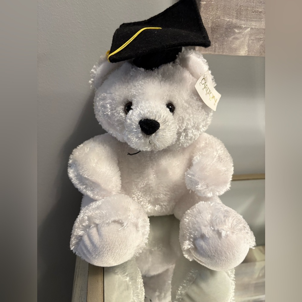 American greetings bear plush medium size new with tags